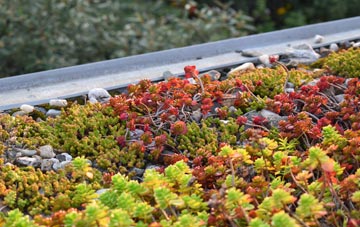 the cost of Lower Copthurst green roof installation