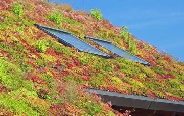 Lower Copthurst living roof systems